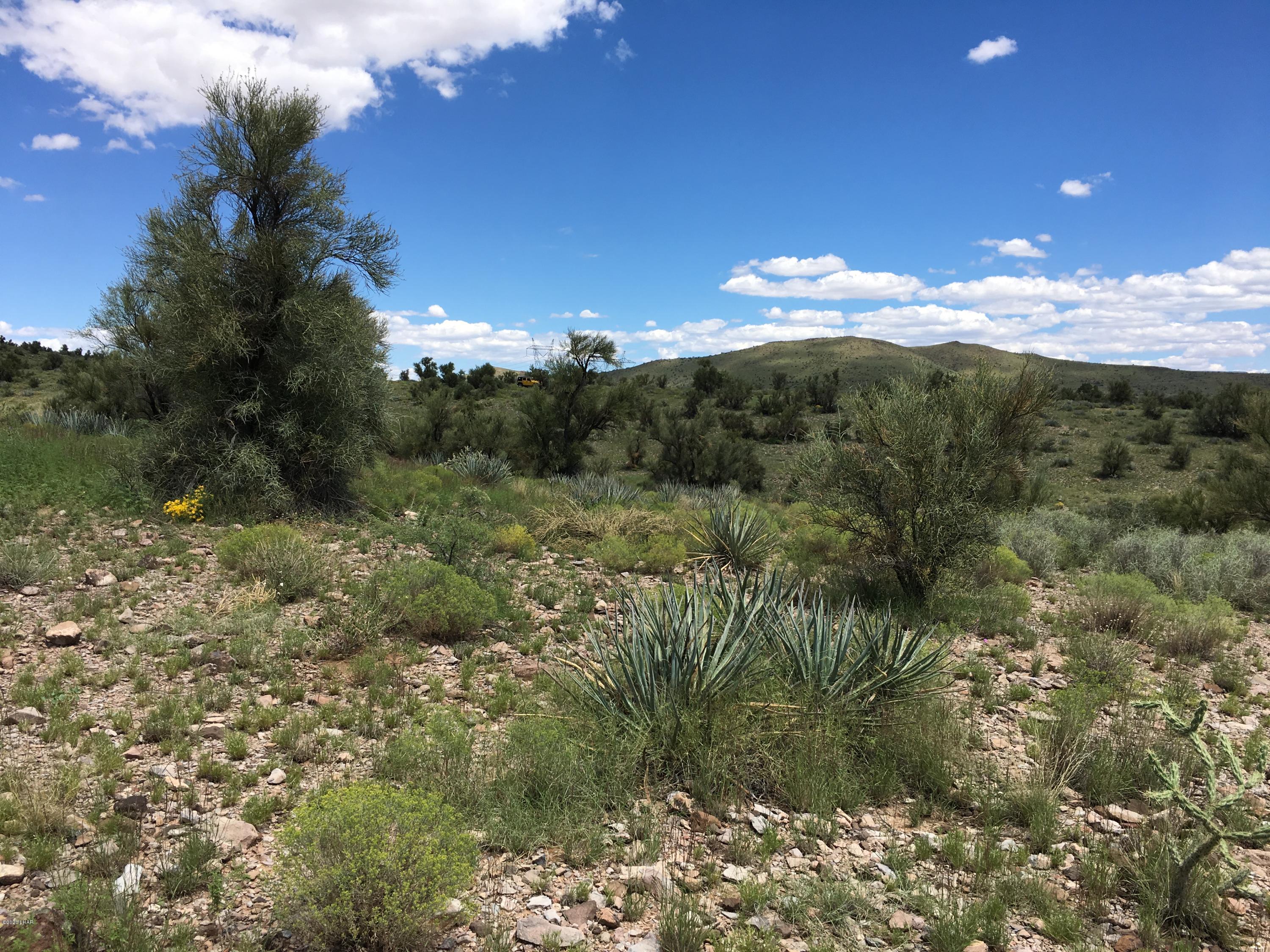 160-acrs Harris Valley Ranch Road Seligman, AZ 86337 - Photo 14 of 33 2017-08-22 12.40.34