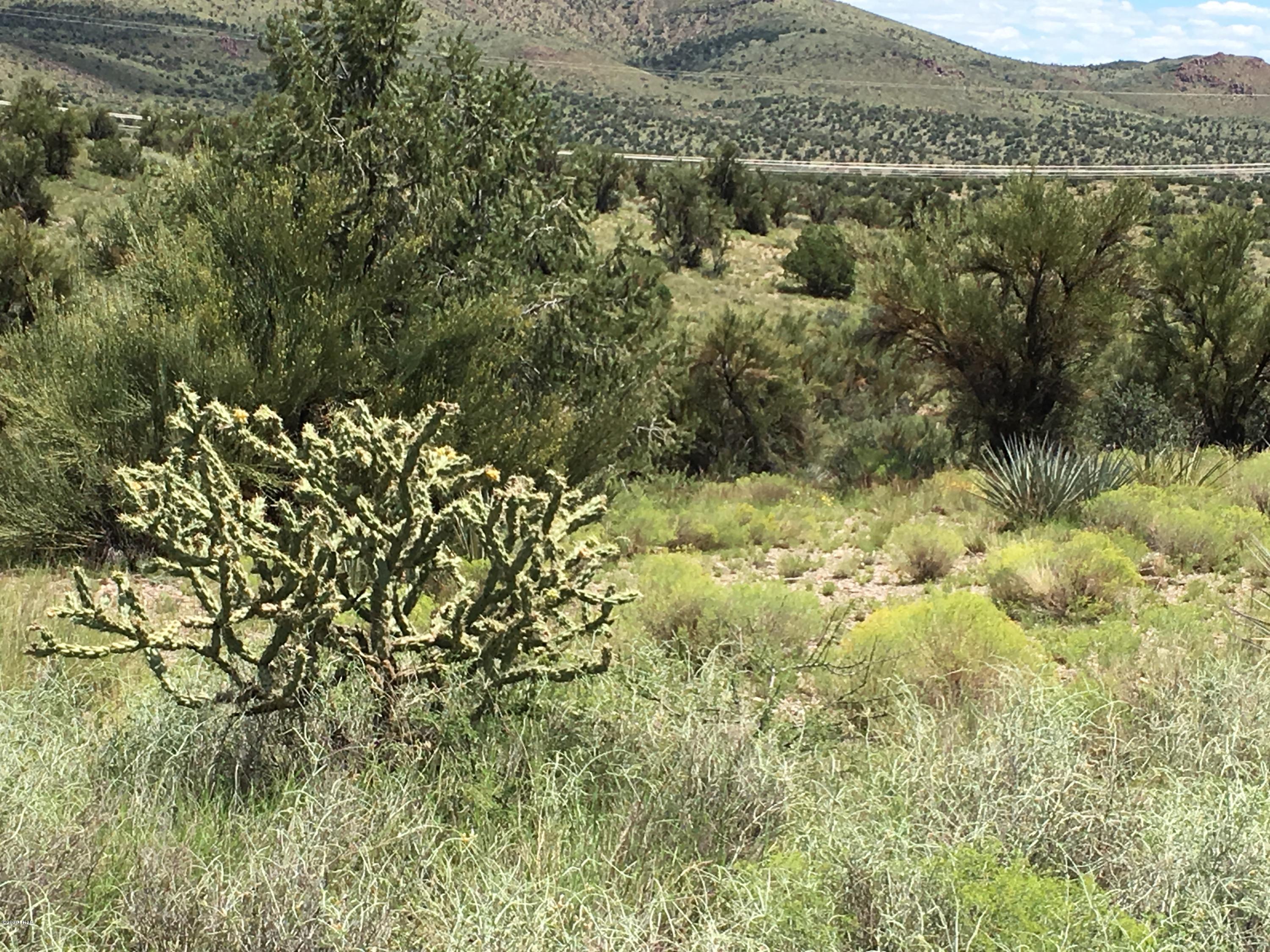 160-acrs Harris Valley Ranch Road Seligman, AZ 86337 - Photo 20 of 33 2017-08-22 12.46.15