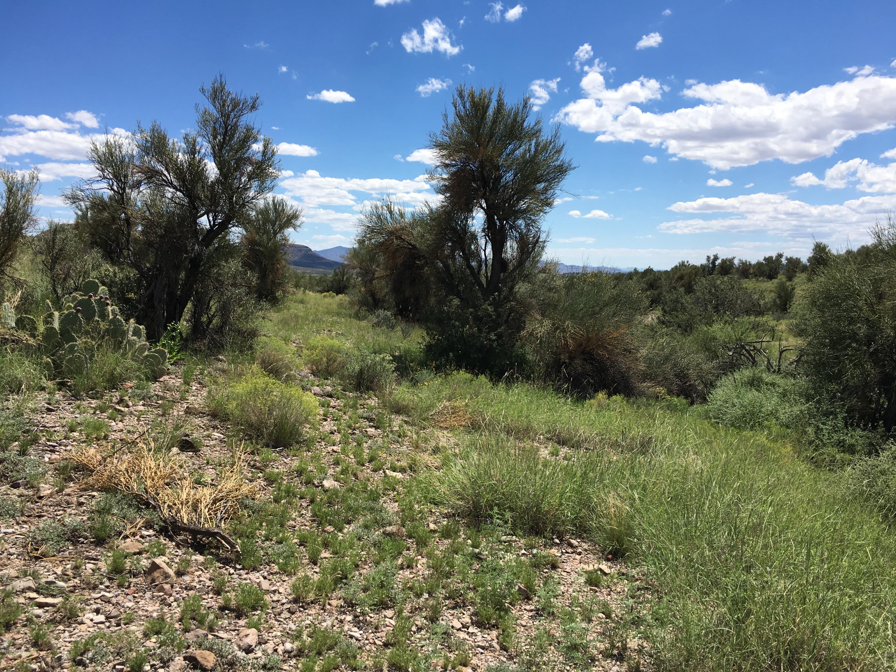 160-acrs Harris Valley Ranch Road Seligman, AZ 86337 - Photo 23 of 33 2017-08-22 12.50.27