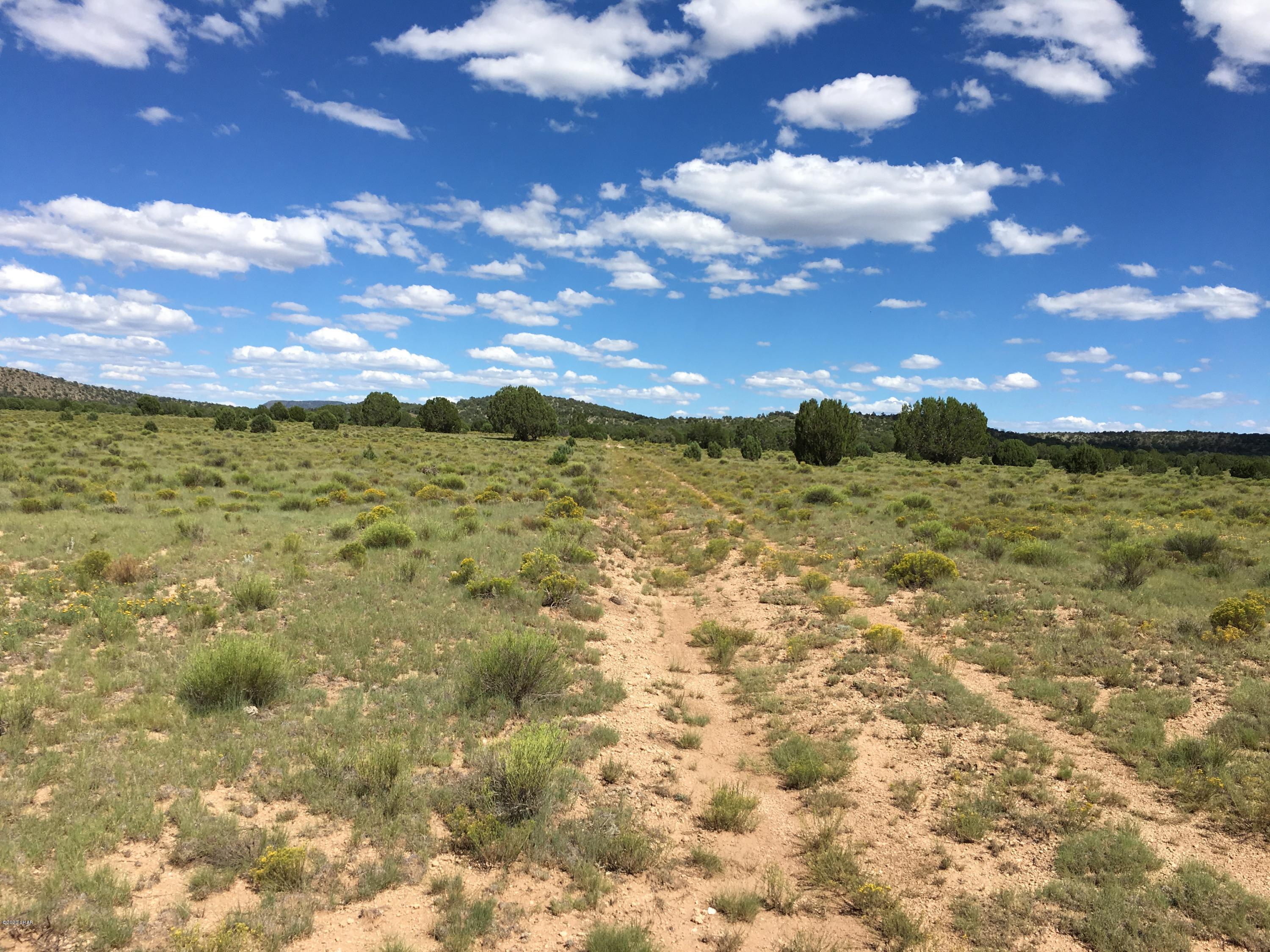 160-acrs Harris Valley Ranch Road Seligman, AZ 86337 - Photo 27 of 33 2017-08-22 14.59.55