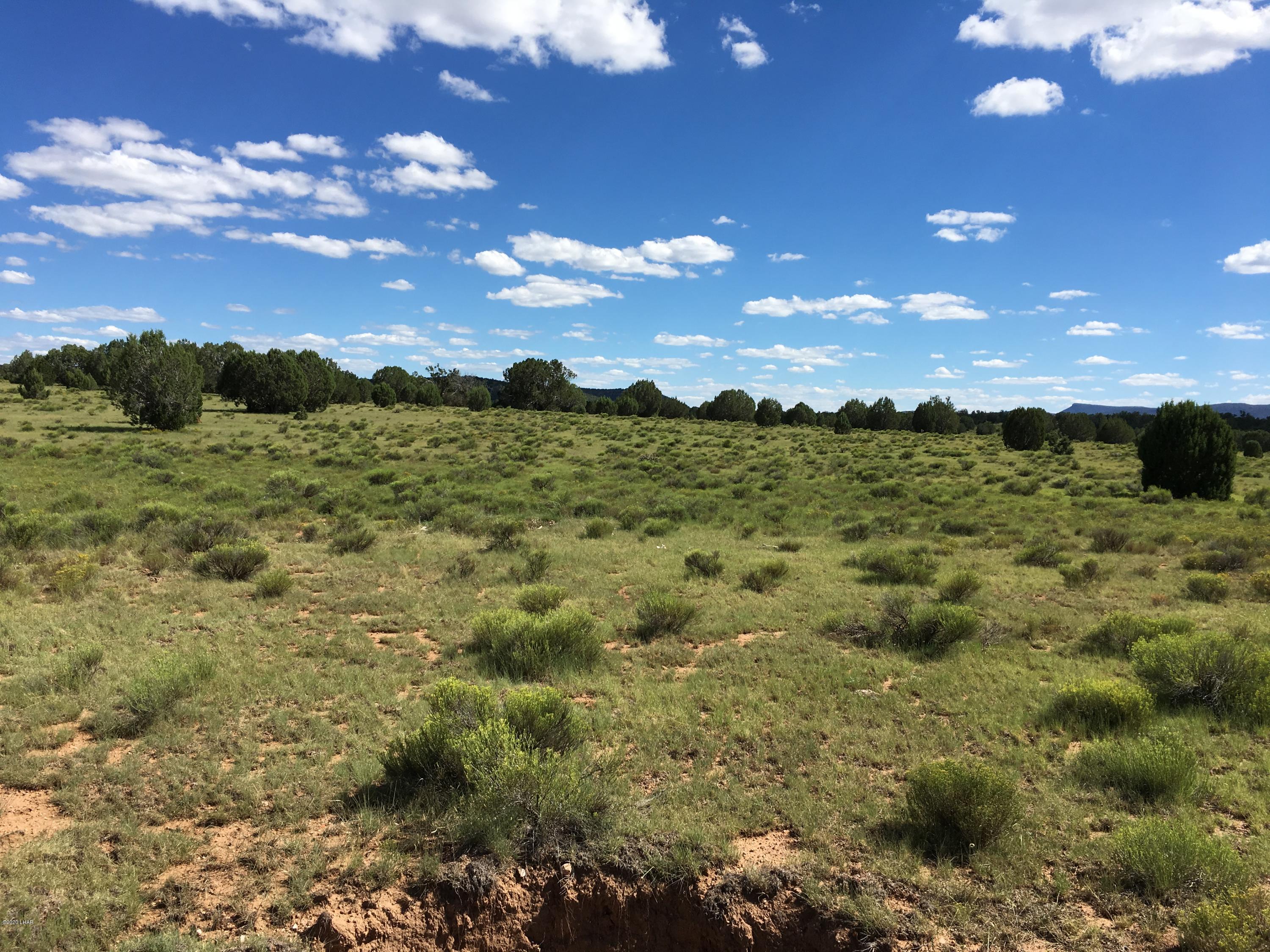 160-acrs Harris Valley Ranch Road Seligman, AZ 86337 - Photo 28 of 33 2017-08-22 15.02.59