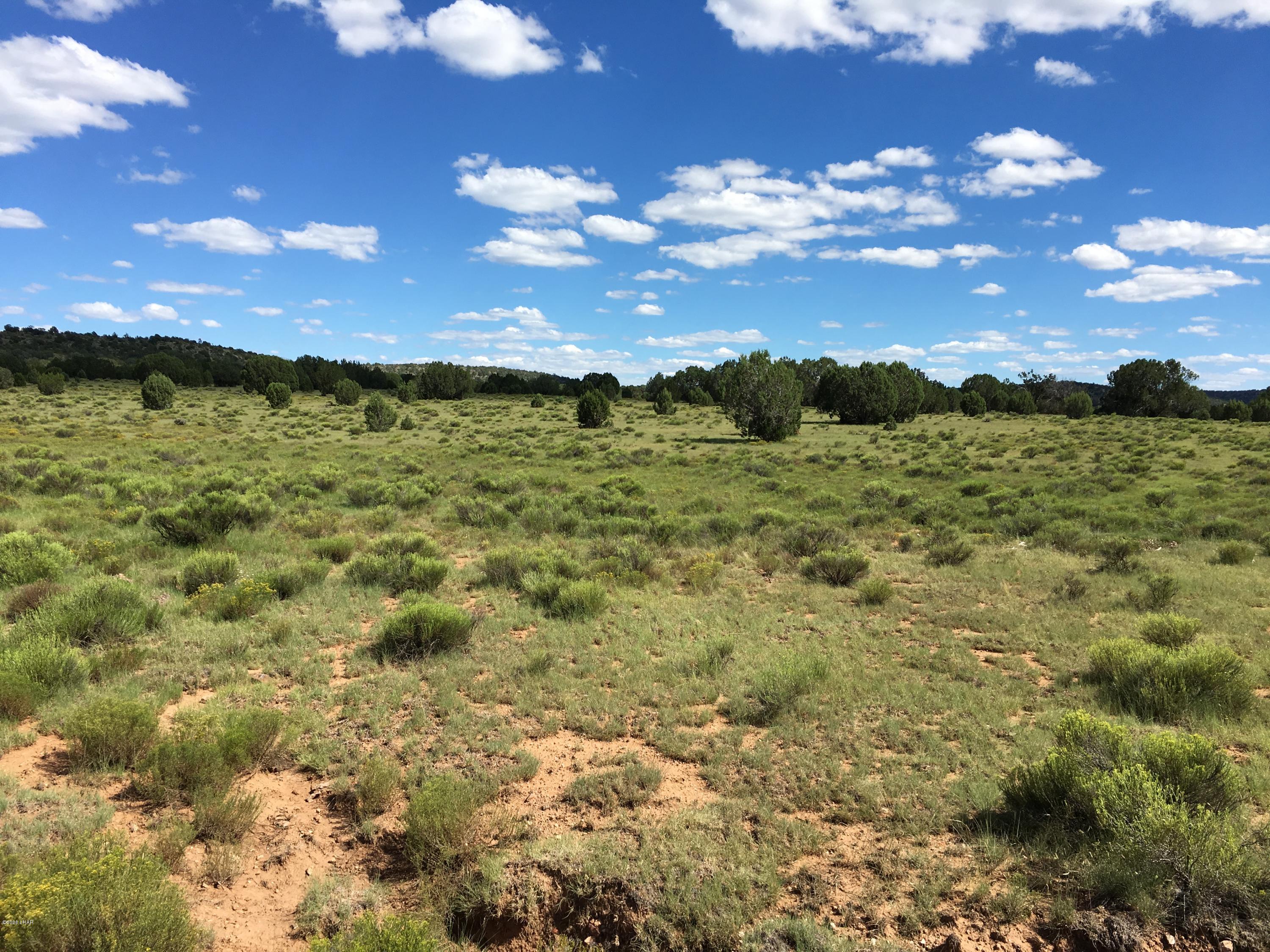 160-acrs Harris Valley Ranch Road Seligman, AZ 86337 - Photo 31 of 33 2017-08-22 15.03.13