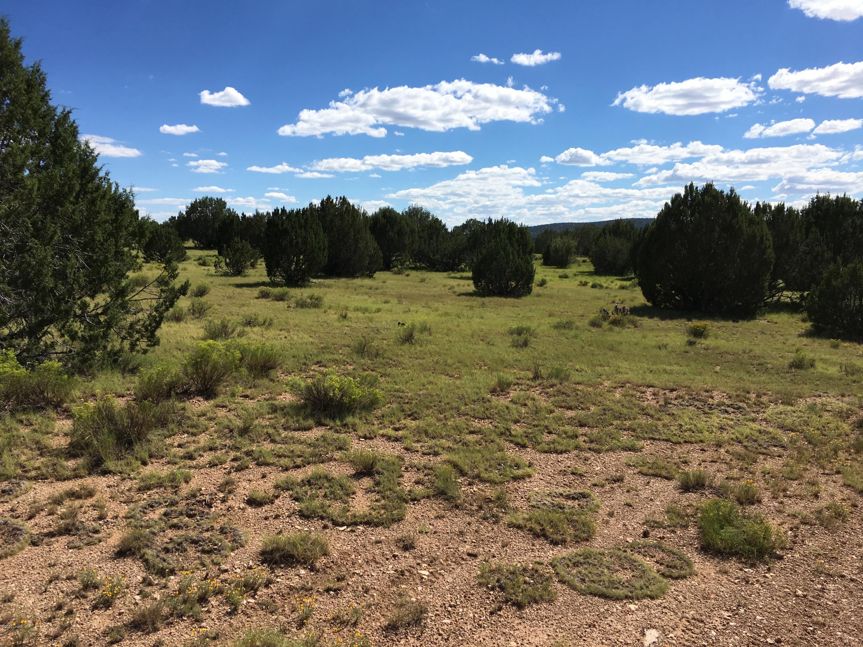 160-acrs Harris Valley Ranch Road Seligman, AZ 86337 - Photo 32 of 33 2017-08-22 15.07.04