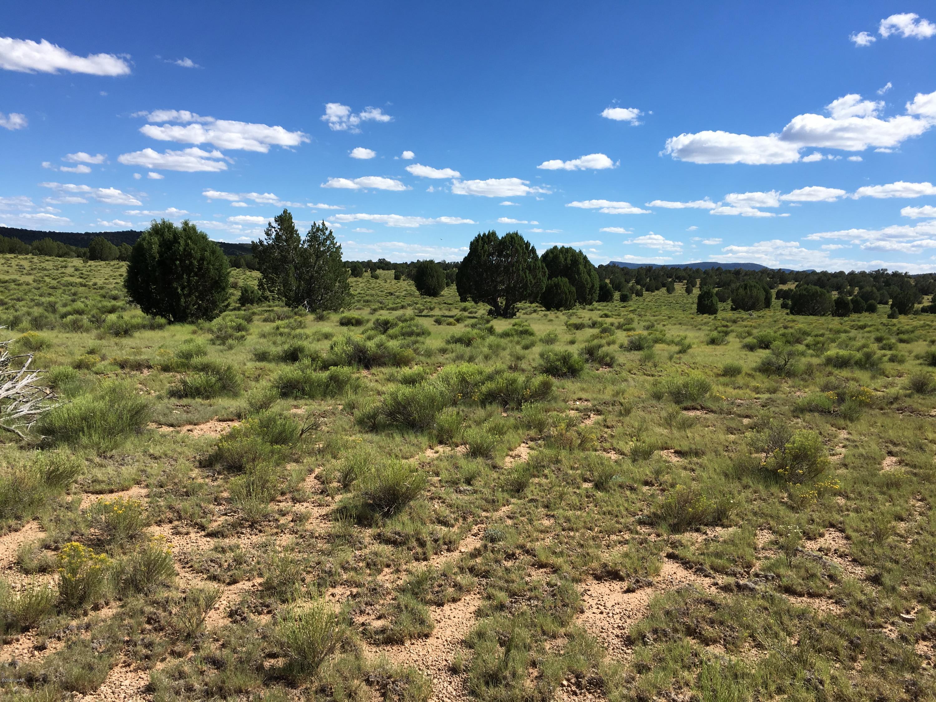 160-acrs Harris Valley Ranch Road Seligman, AZ 86337 - Photo 33 of 33 2017-08-22 15.13.11