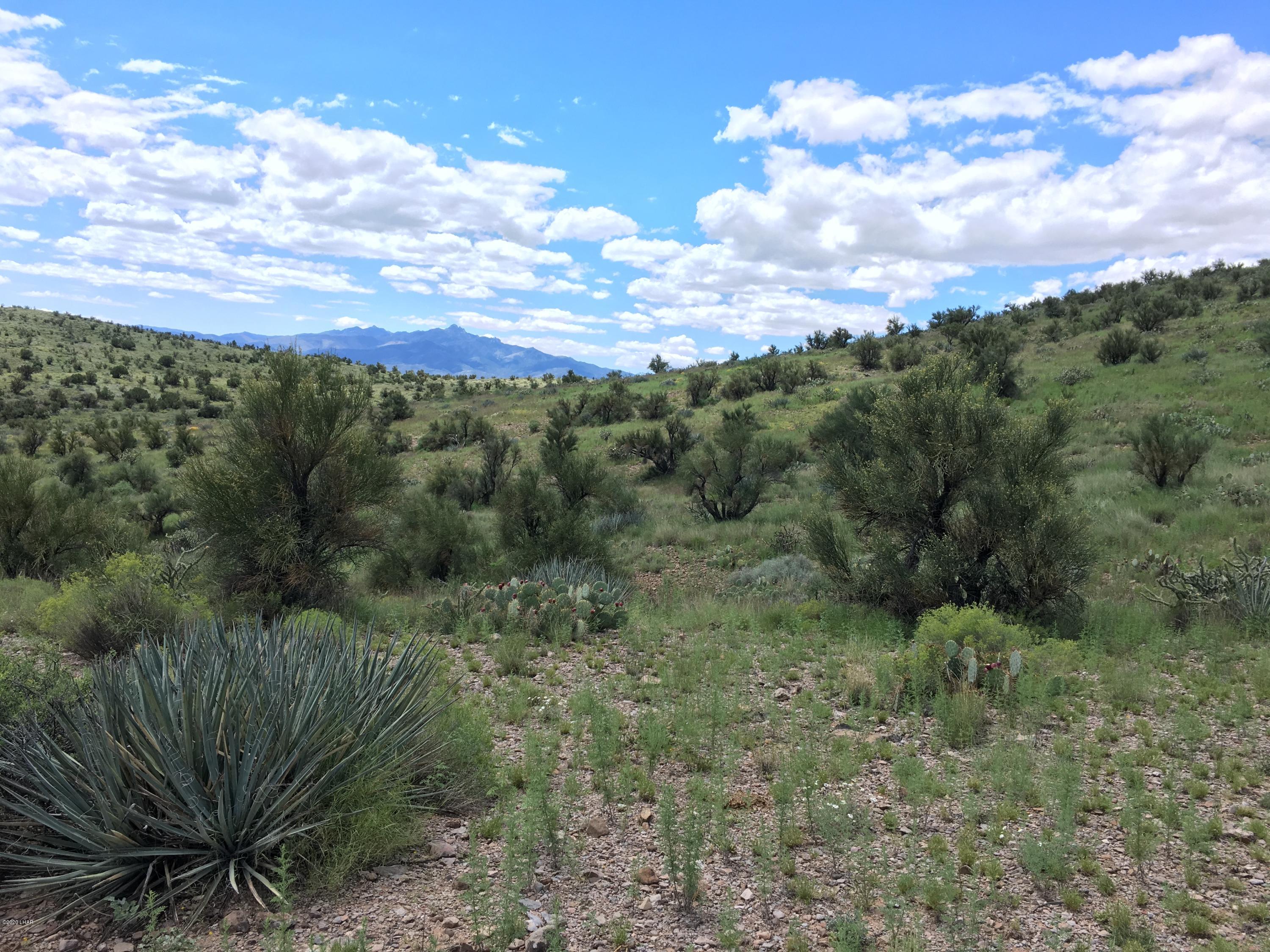 160-acrs Harris Valley Ranch Road Seligman, AZ 86337 - Photo 9 of 33 2017-08-22 12.39.01 HDR
