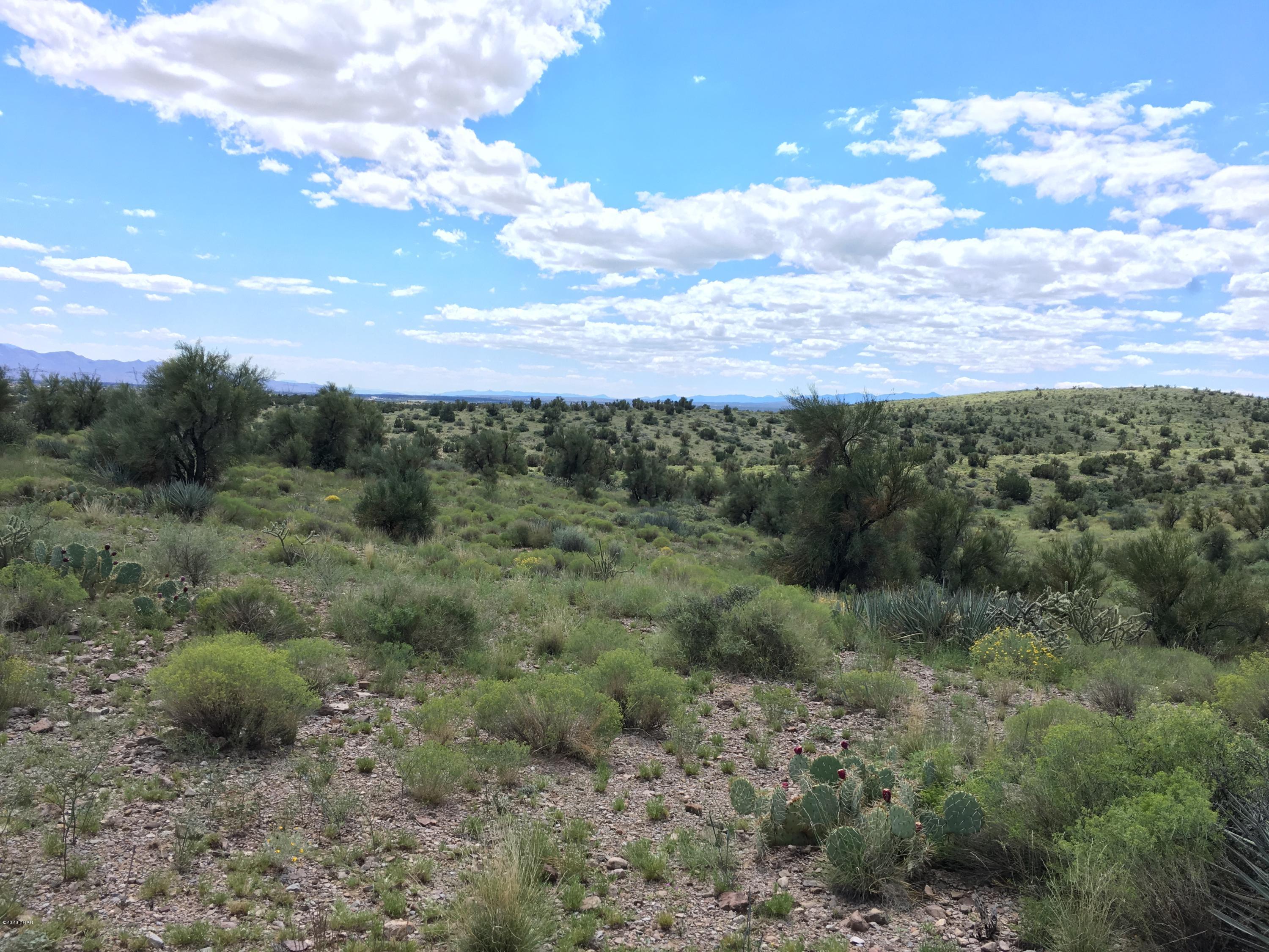 160-acrs Harris Valley Ranch Road Seligman, AZ 86337 - Photo 10 of 33 2017-08-22 12.39.05 HDR