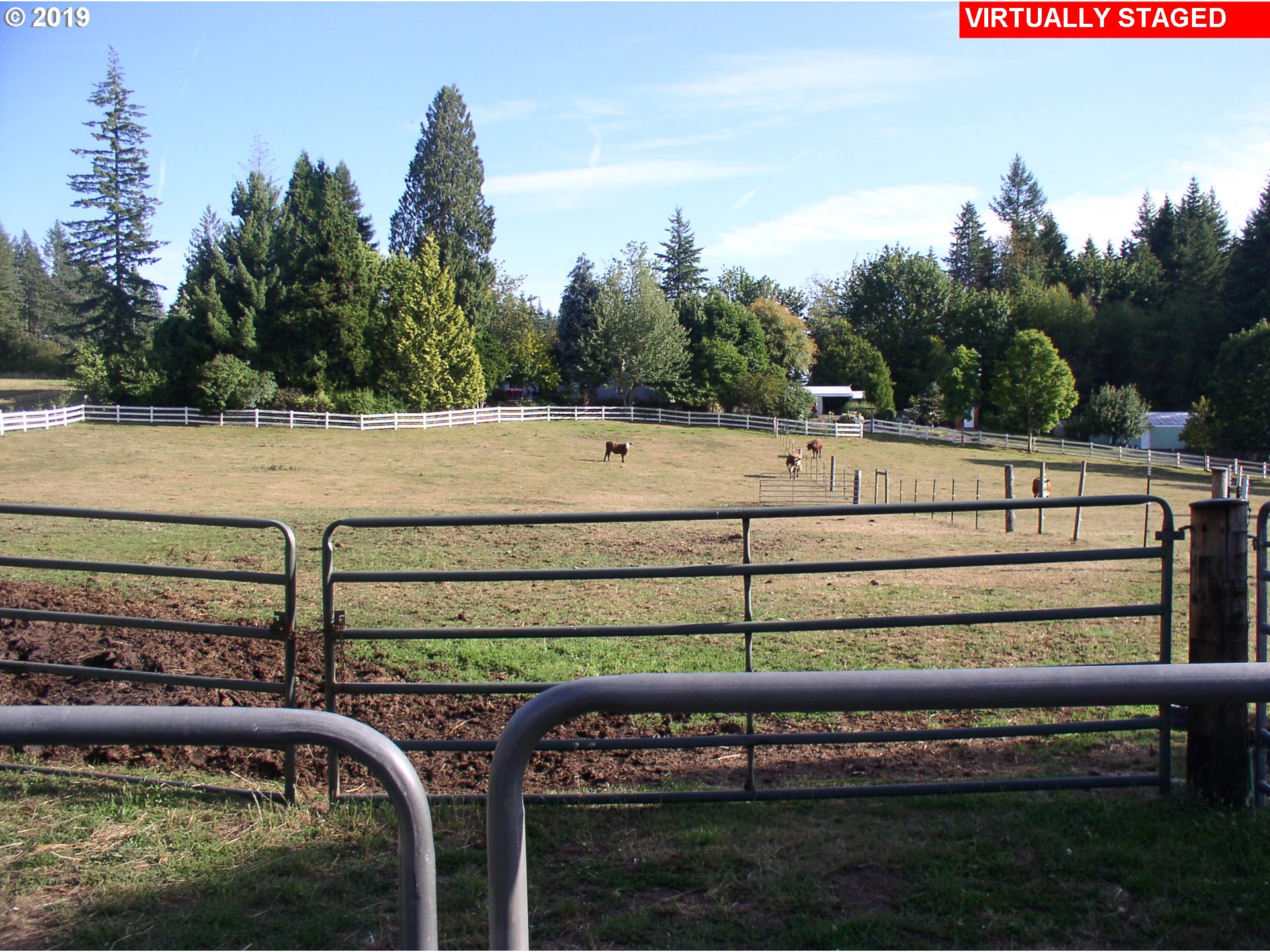 39586 Southeast Trubel Road Sandy, OR 97055 - Photo 11 of 28 a view of a bench next to a yard