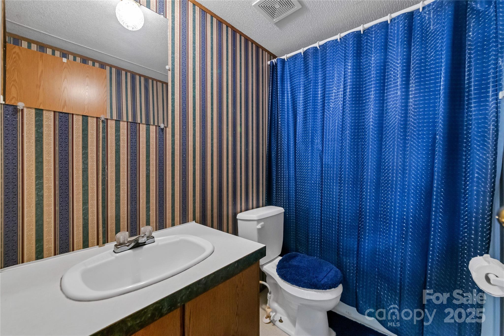 43 Goose Creek Road Swannanoa, NC 28778 - Photo 15 of 25 a bathroom with a sink a toilet and shower