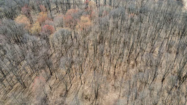 $300,000 | 13887 L Drive North, Battle Creek, MI 49014