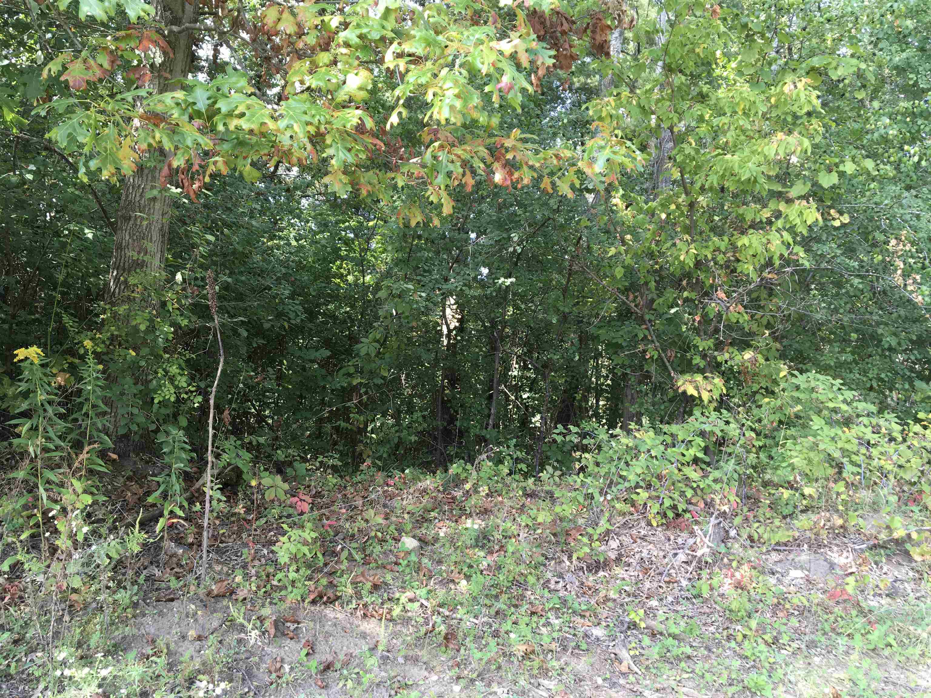 0 East Washington Street Stoughton, WI 53589 - Photo 12 of 14