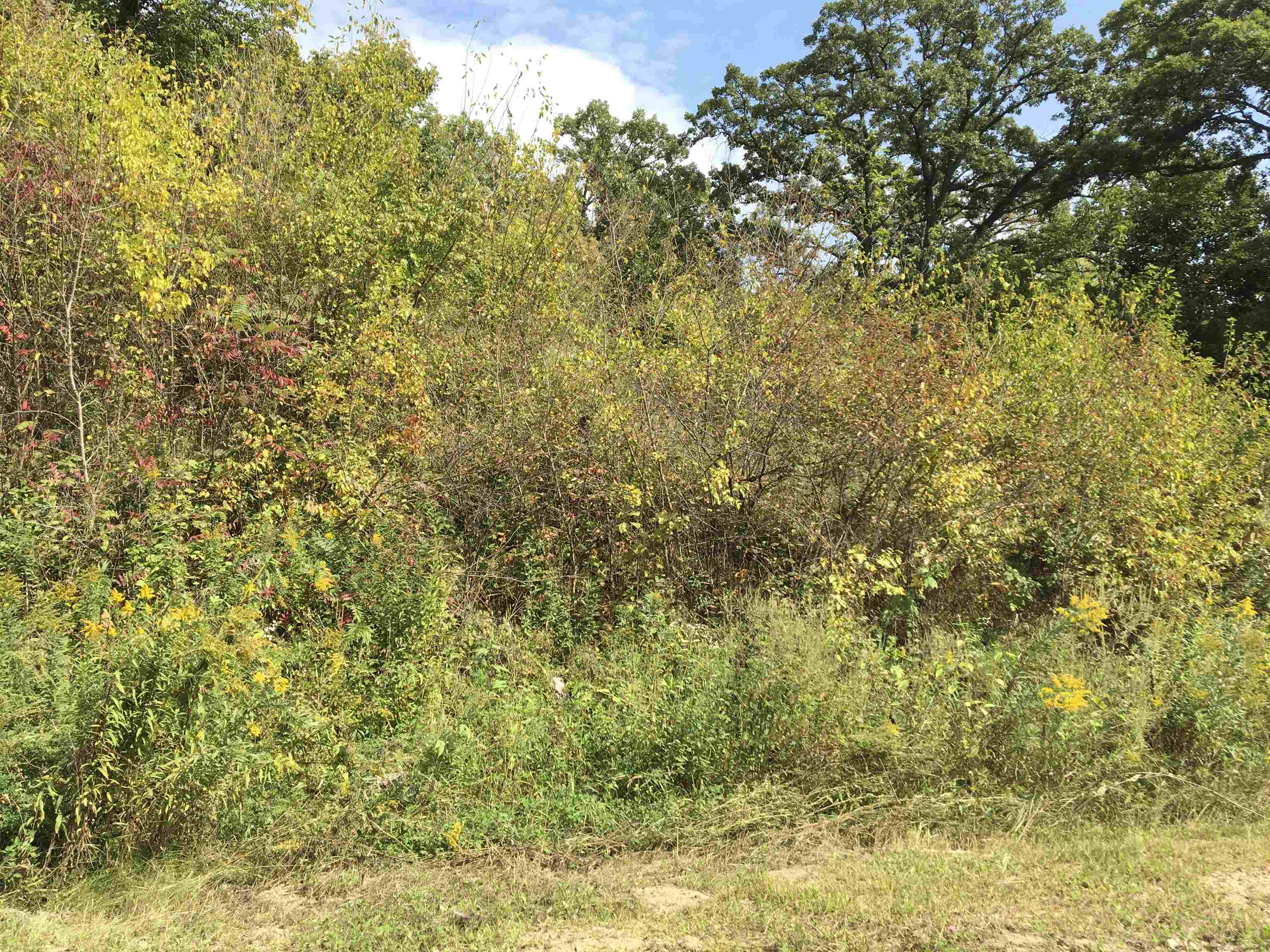 0 East Washington Street Stoughton, WI 53589 - Photo 13 of 14