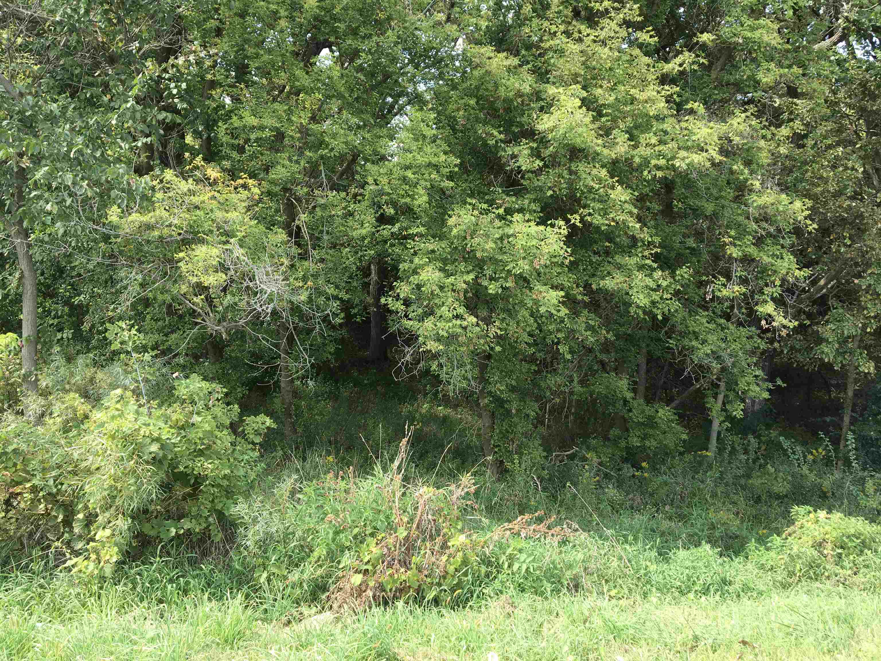 0 East Washington Street Stoughton, WI 53589 - Photo 2 of 14