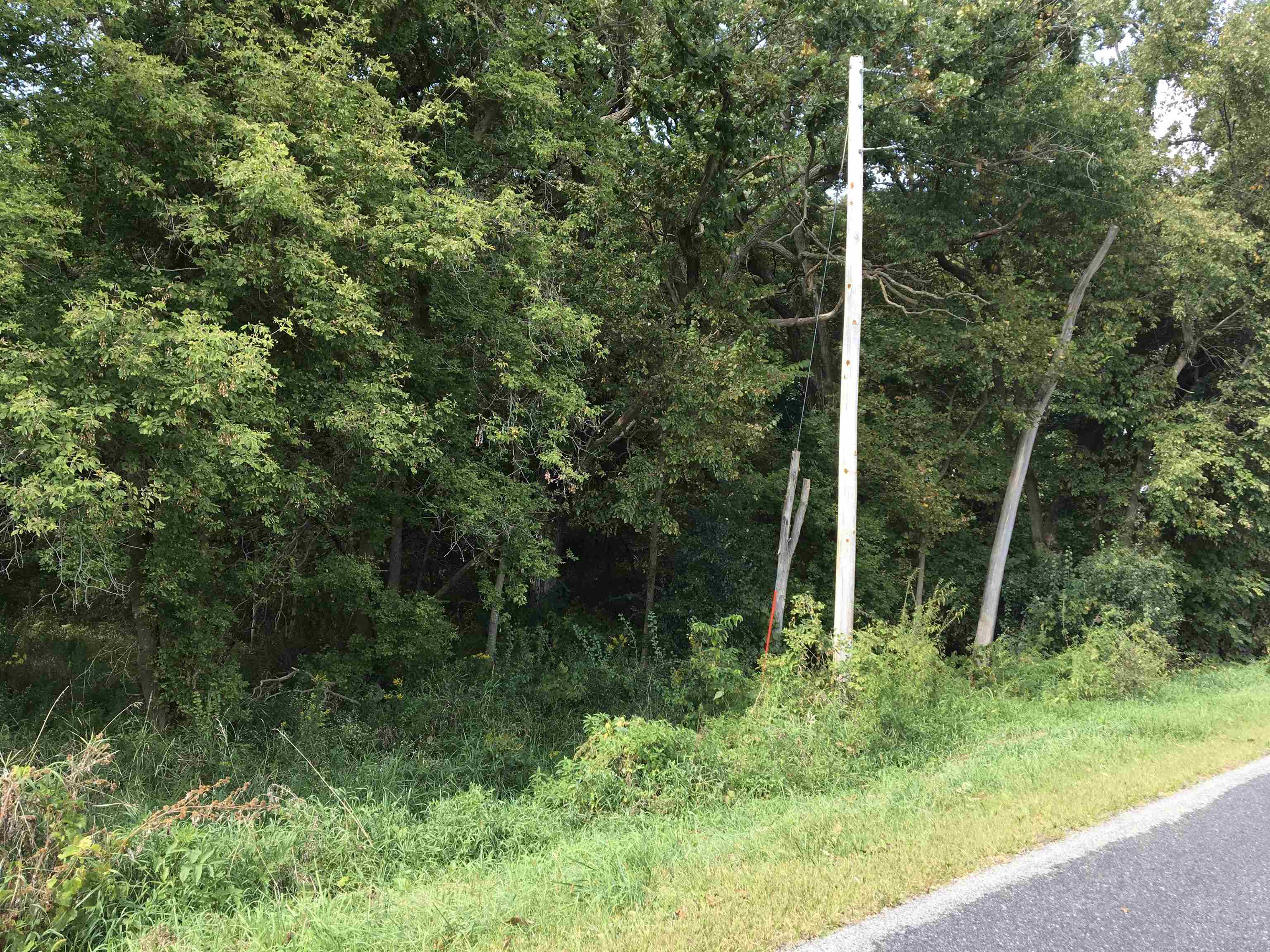 0 East Washington Street Stoughton, WI 53589 - Photo 3 of 14