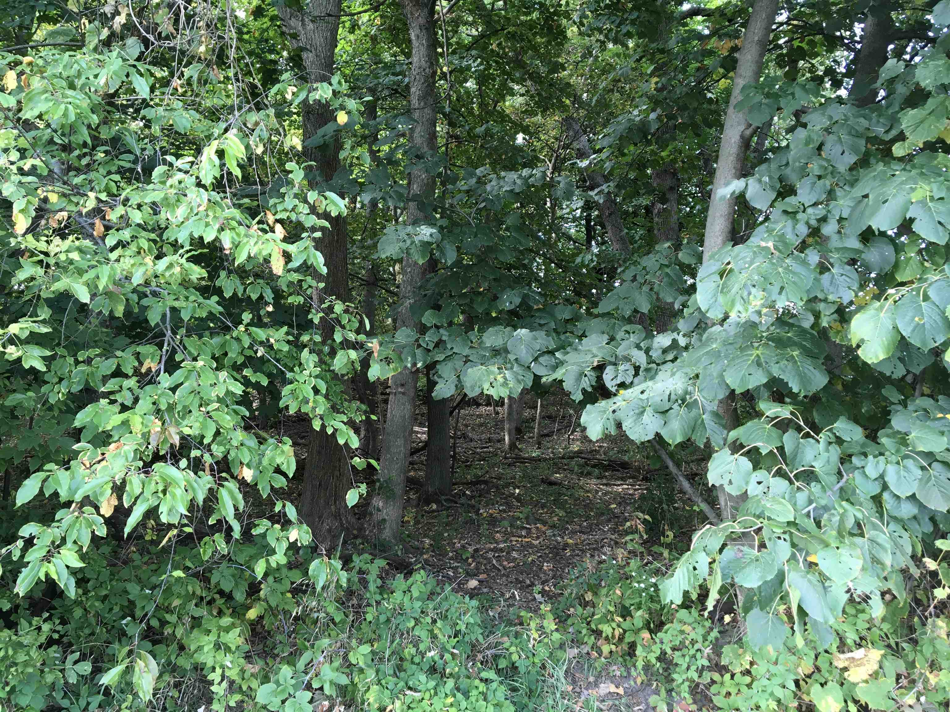 0 East Washington Street Stoughton, WI 53589 - Photo 6 of 14