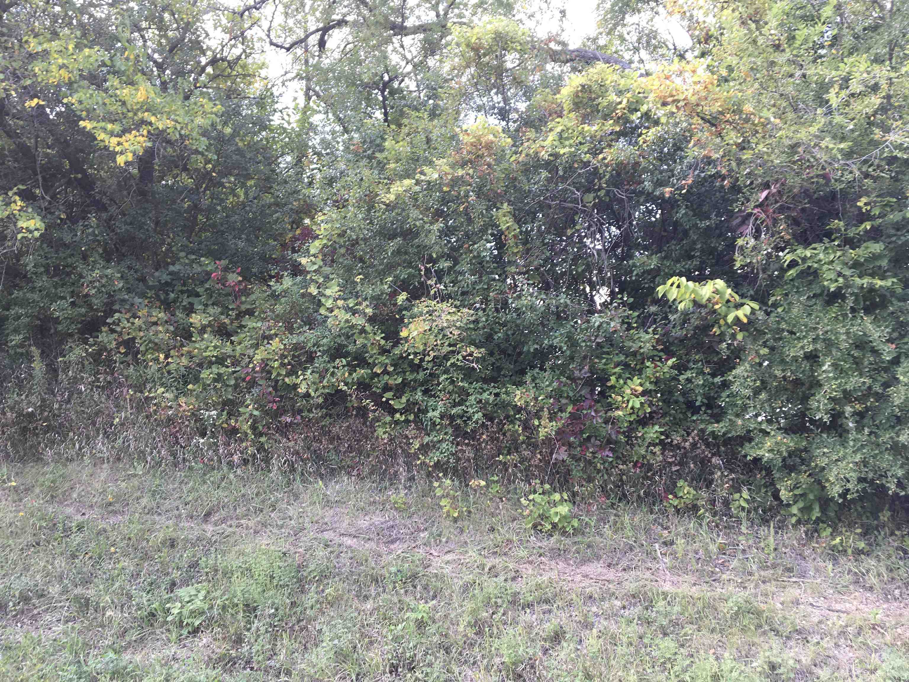 0 East Washington Street Stoughton, WI 53589 - Photo 7 of 14