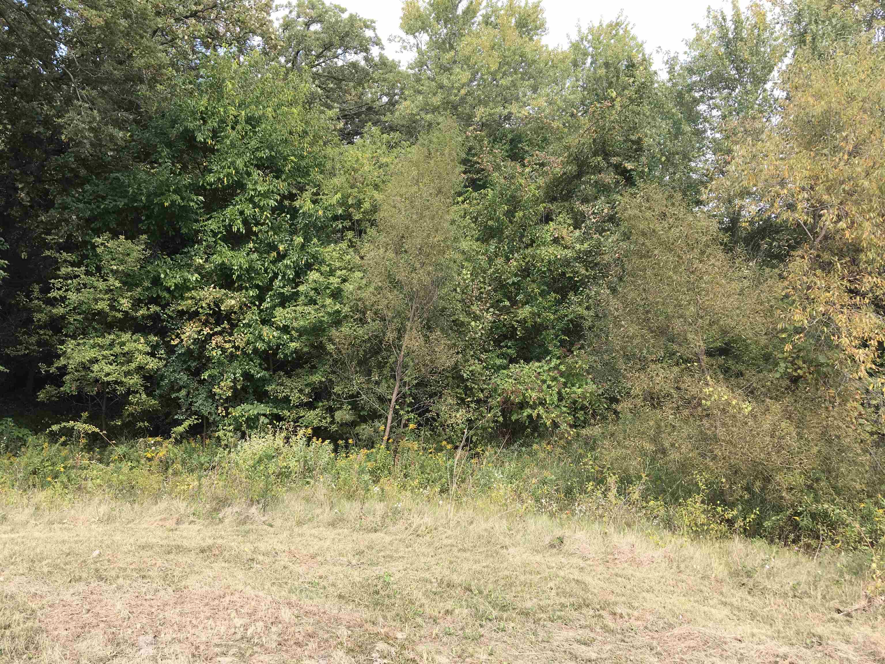 0 East Washington Street Stoughton, WI 53589 - Photo 9 of 14