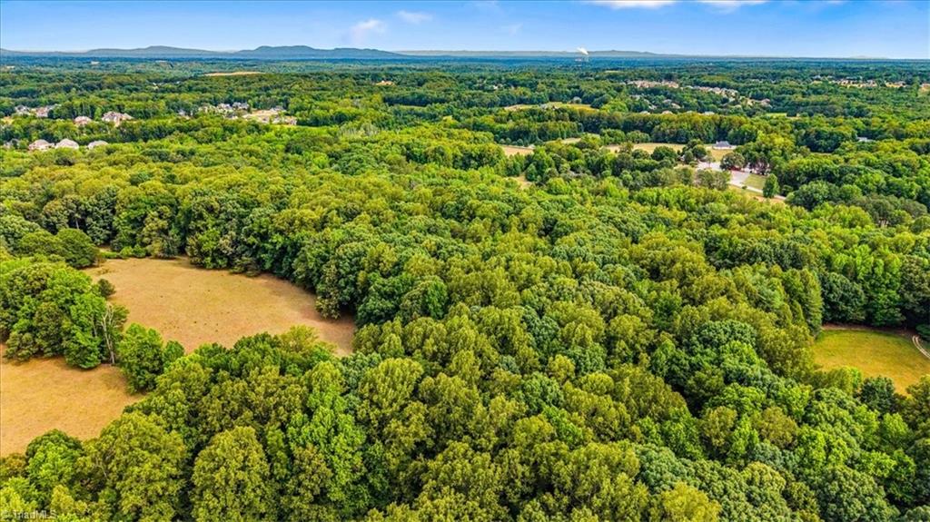 8471 Linville Road Oak Ridge, NC 27310 - Photo 8 of 10
