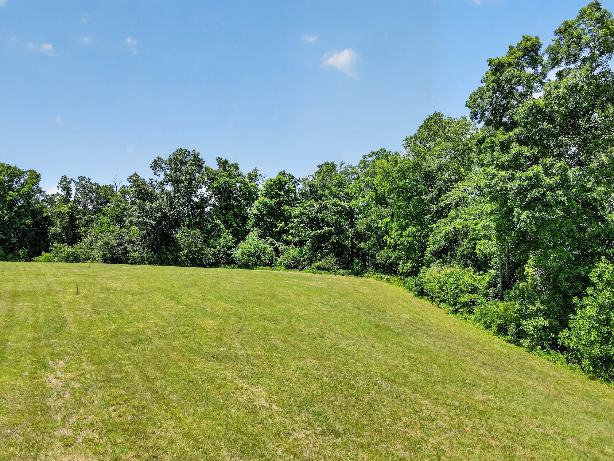 7393 South Harpeth Road Franklin, TN 37064 - Photo 17 of 27