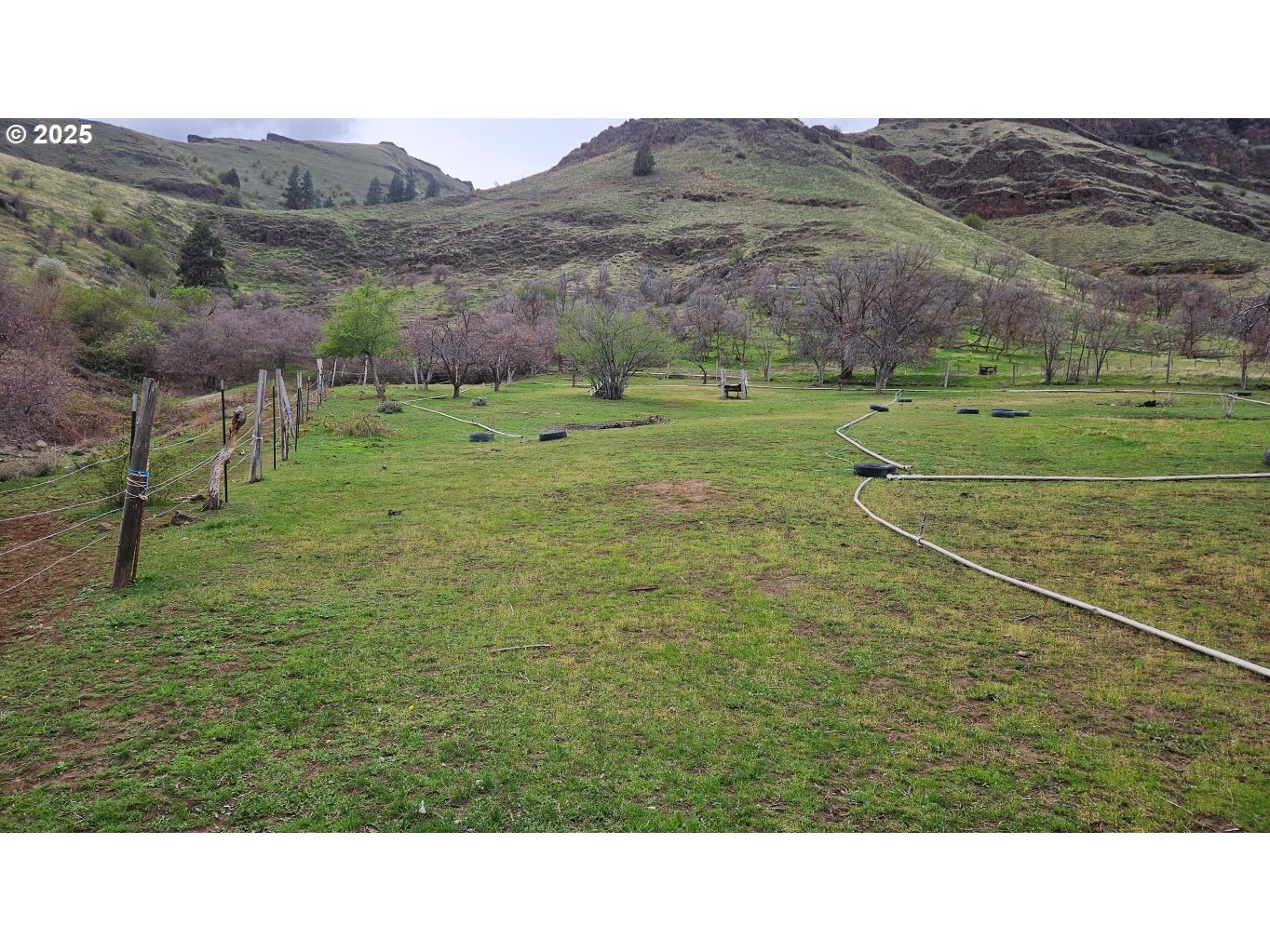73715 Indian Creek Road Imnaha, OR 97842 - Photo 4 of 18 a black and white photo of a field