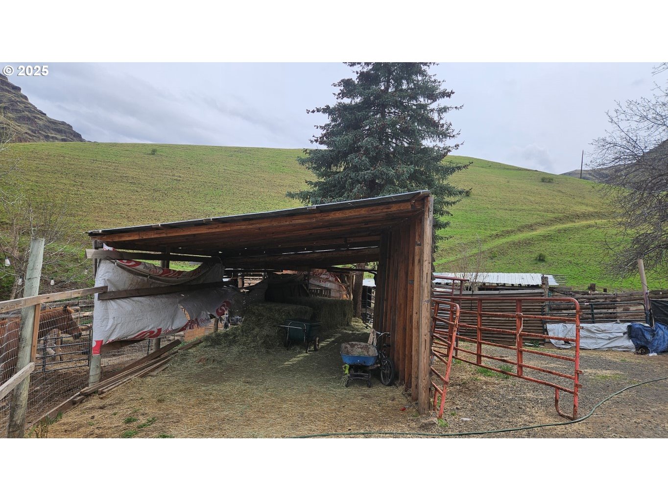 73715 Indian Creek Road Imnaha, OR 97842 - Photo 5 of 18 a black and white photo of a building