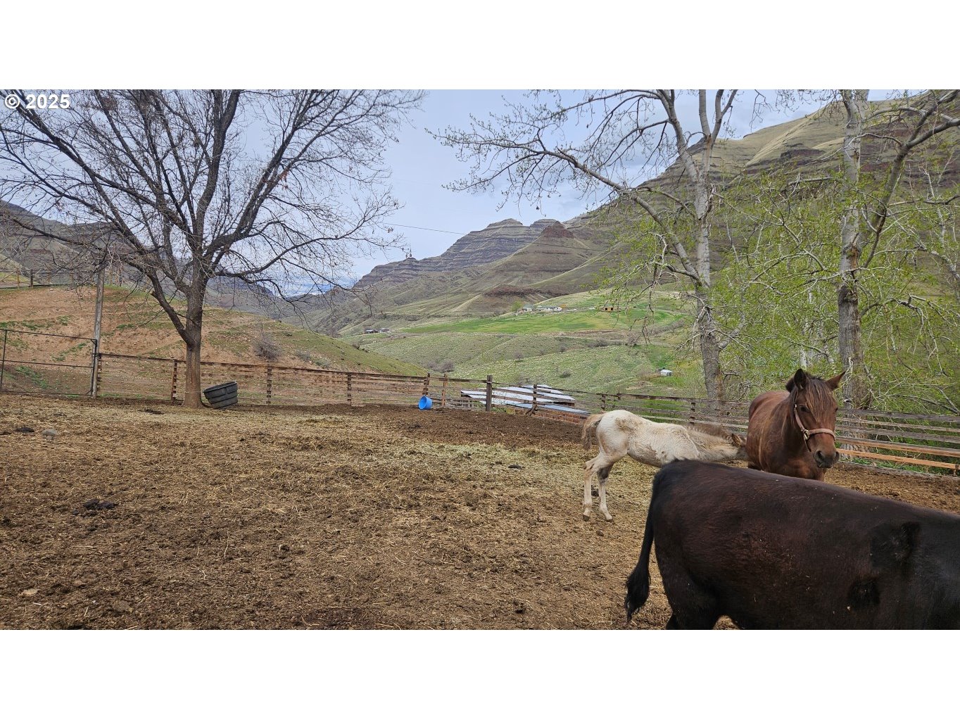 73715 Indian Creek Road Imnaha, OR 97842 - Photo 9 of 18 a black and white photo of a lake