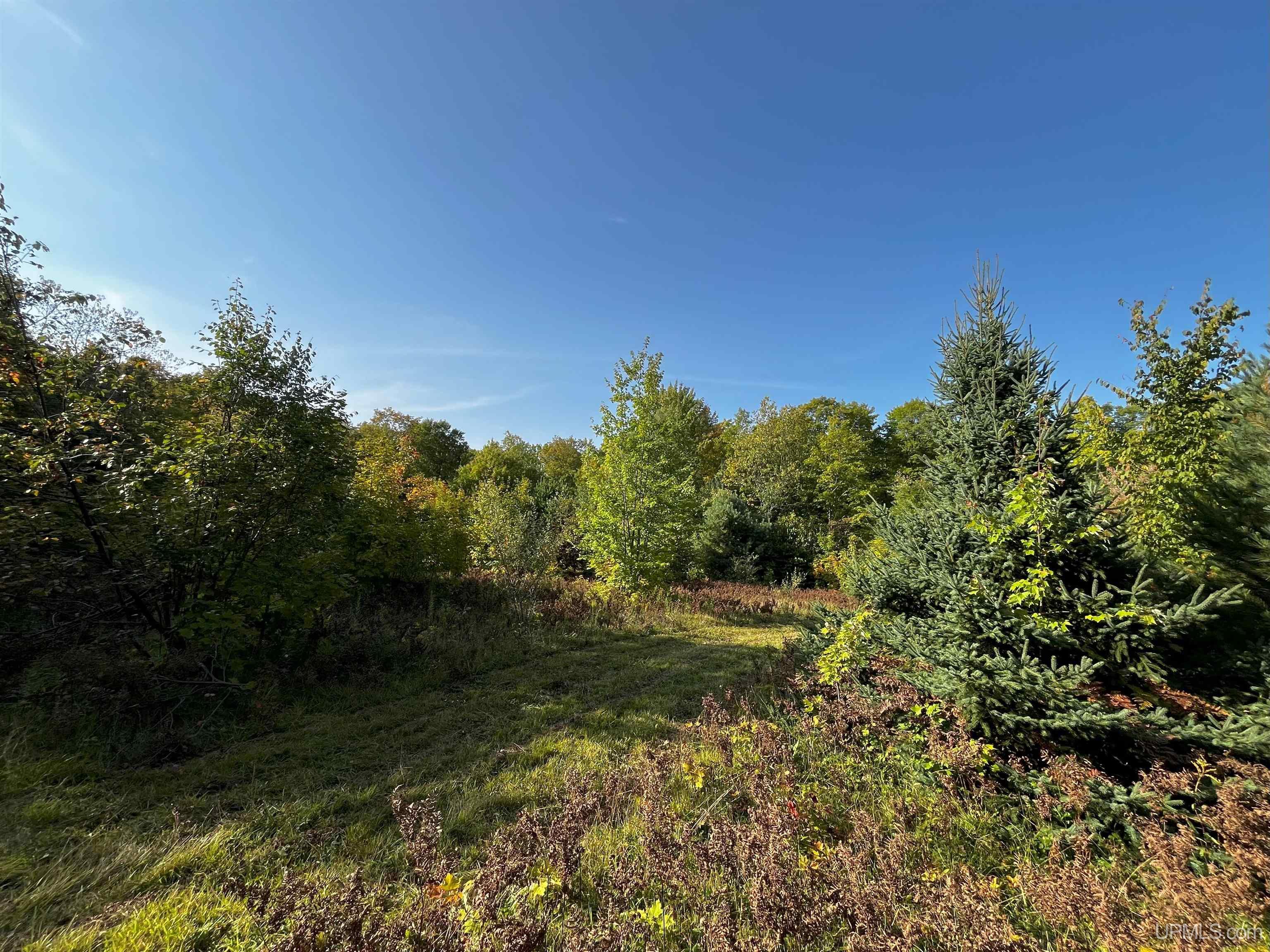 Tbda Worham Road Chassell, MI 49916 - Photo 20 of 28