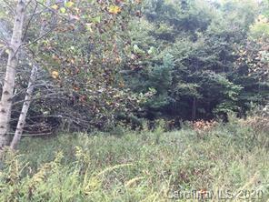 651 Rector Branch Road Marshall, NC 28753 - Photo 14 of 17 Gallery Image 14