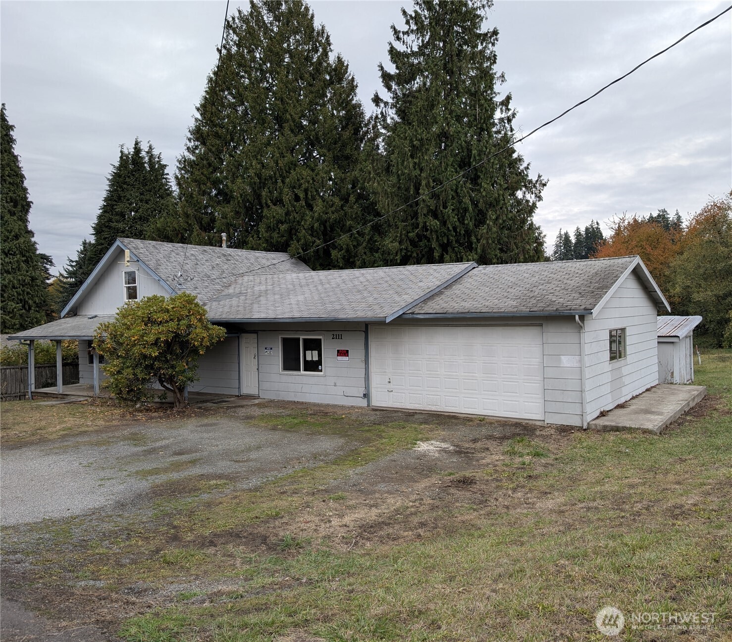 a house that has a tree in front of it