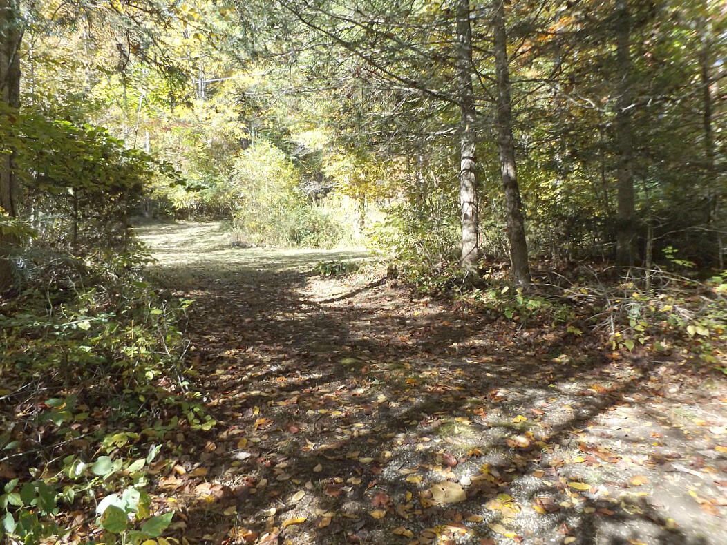 159 Dugger Branch Road Elizabethton, TN 37643 - Photo 15 of 35 DSCF7471777