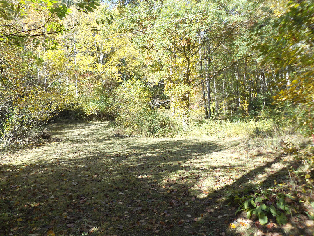 159 Dugger Branch Road Elizabethton, TN 37643 - Photo 16 of 35 DSCF7472777