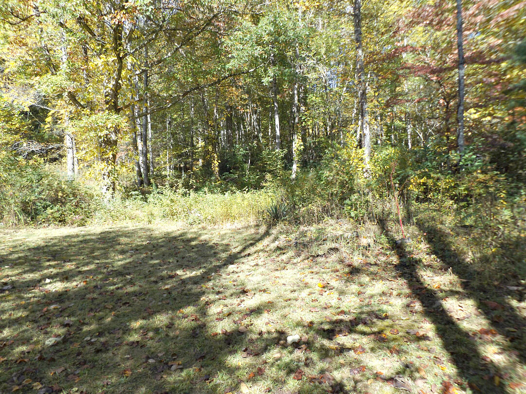 159 Dugger Branch Road Elizabethton, TN 37643 - Photo 17 of 35 DSCF7473777