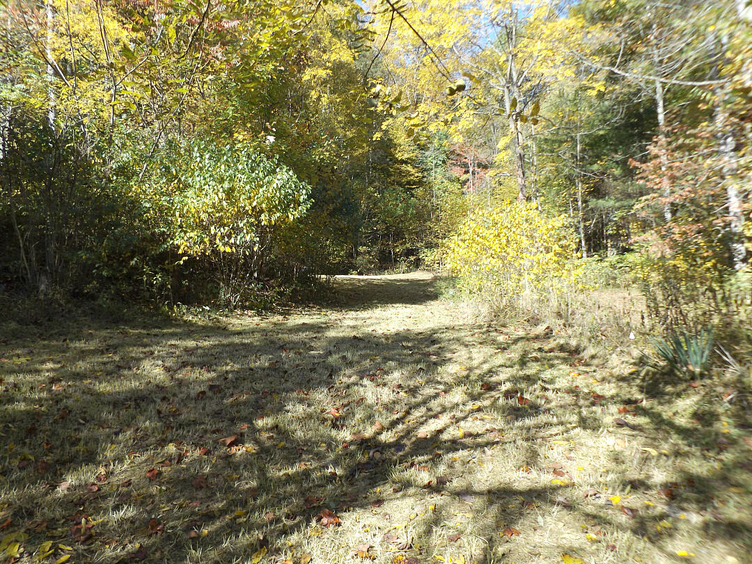 159 Dugger Branch Road Elizabethton, TN 37643 - Photo 19 of 35 DSCF7476777