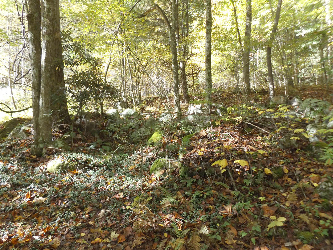 159 Dugger Branch Road Elizabethton, TN 37643 - Photo 25 of 35 DSCF7488777