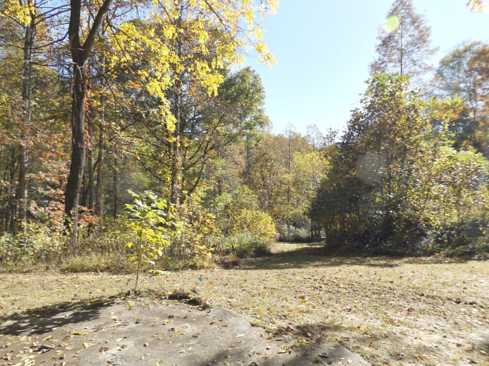 159 Dugger Branch Road Elizabethton, TN 37643 - Photo 27 of 35 DSCF7496777