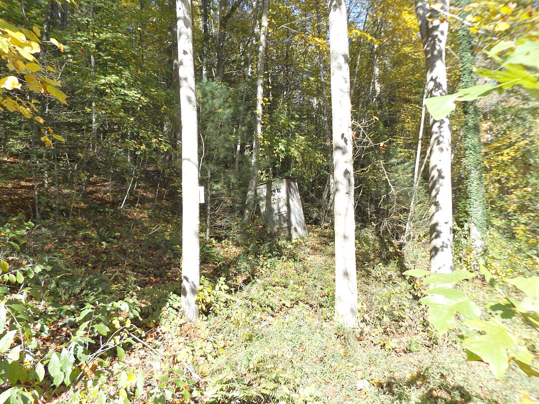 159 Dugger Branch Road Elizabethton, TN 37643 - Photo 30 of 35 DSCF7513777