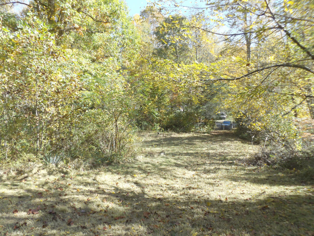 159 Dugger Branch Road Elizabethton, TN 37643 - Photo 31 of 35 DSCF7534777