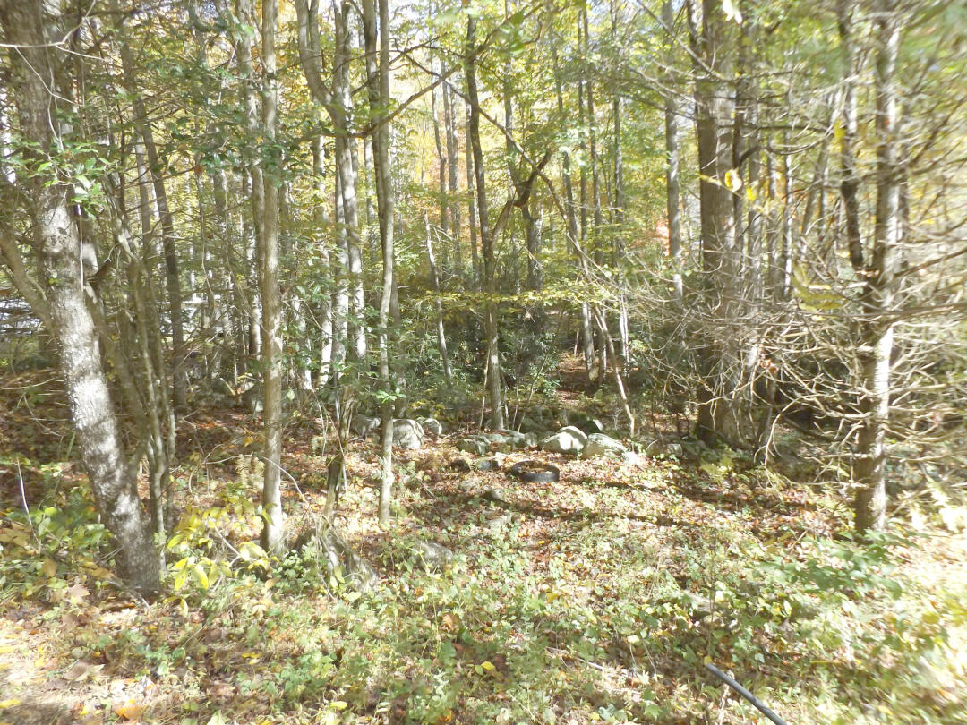 159 Dugger Branch Road Elizabethton, TN 37643 - Photo 32 of 35 DSCF74997777