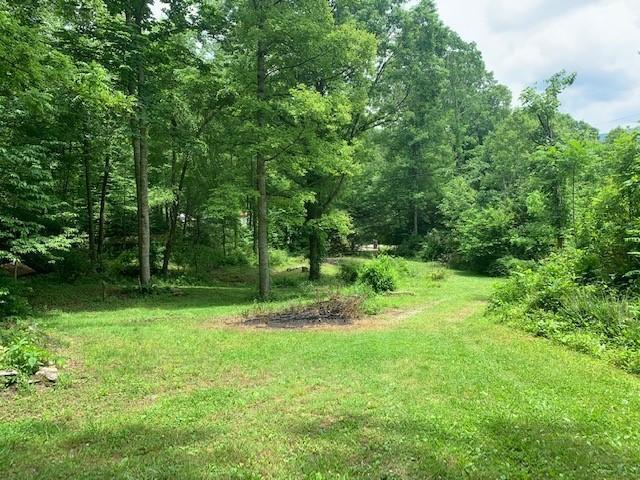 159 Dugger Branch Road Elizabethton, TN 37643 - Photo 7 of 35 Banner2