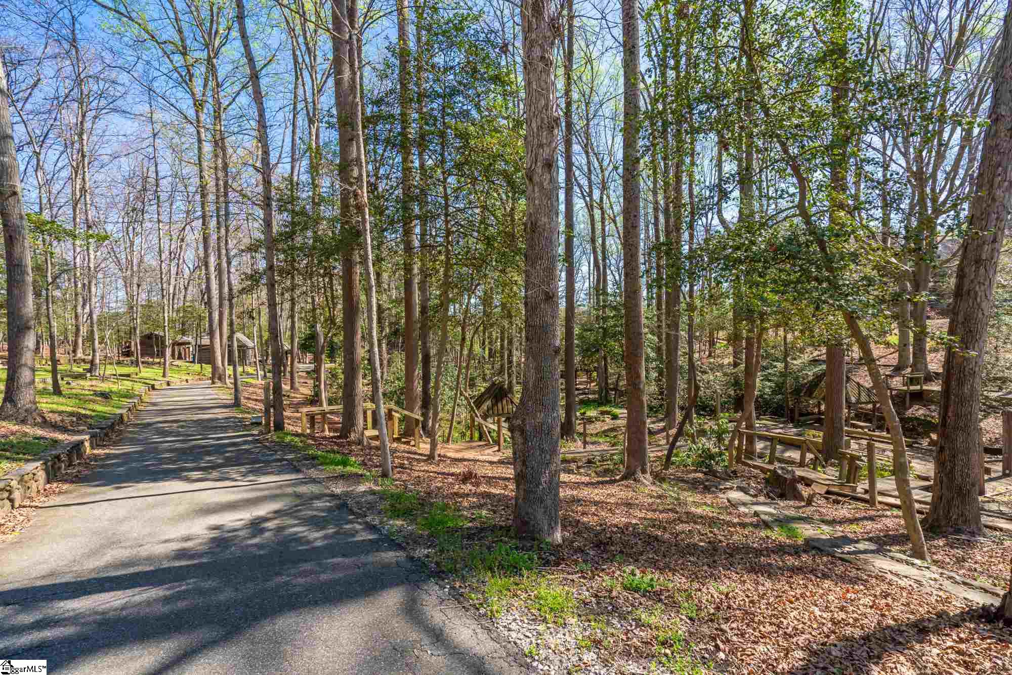 95 Stillhouse Ridge Greer, SC 29650 - Photo 11 of 36 Gallery Image 11