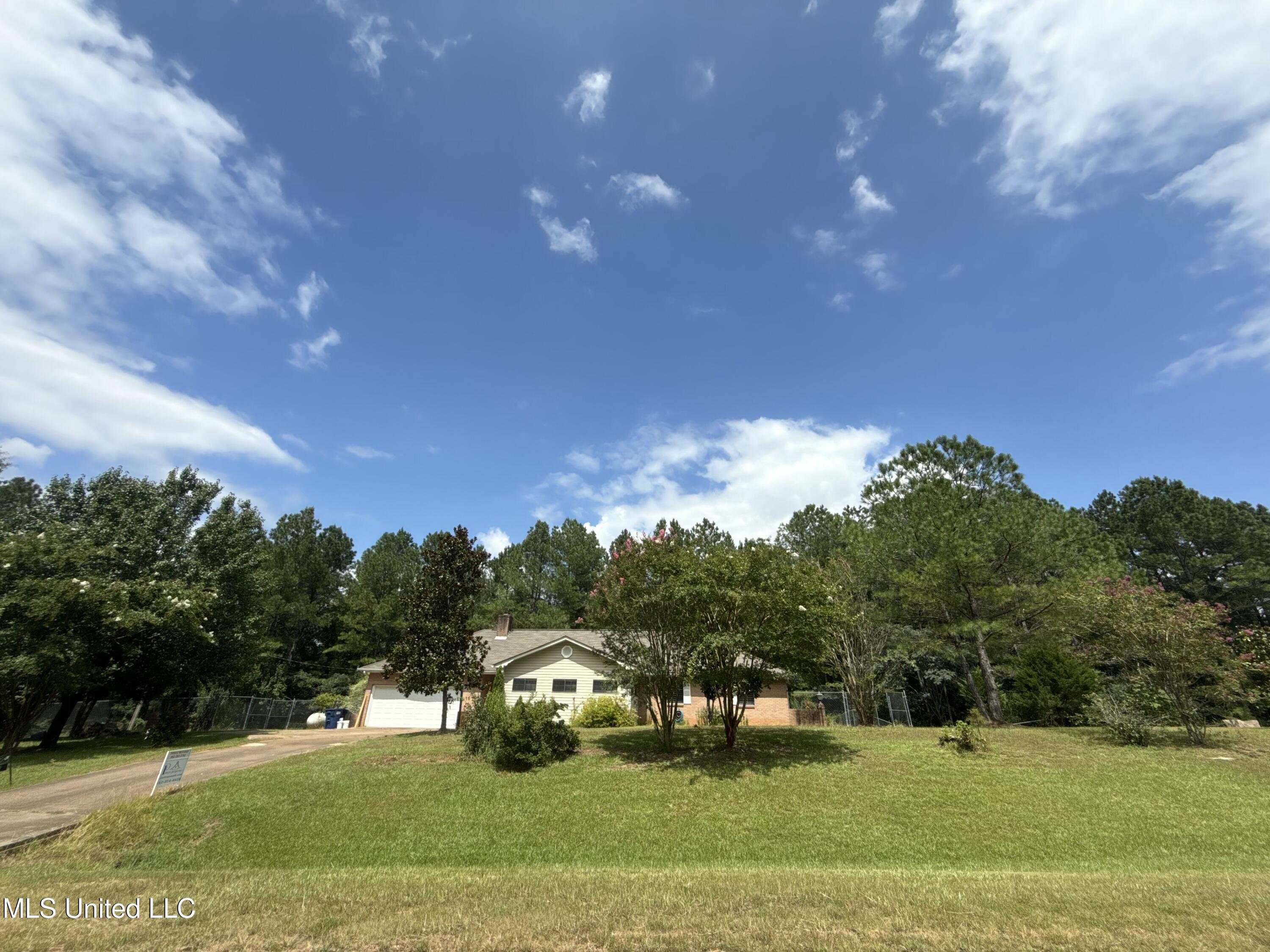 12 Minerva Road Kilmichael, MS 39747 - Photo 49 of 49 BA4F37BD-4D52-4525-AD75-415360307281