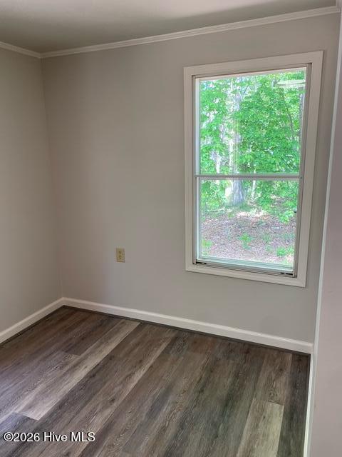 3128 Prophecy Road Middlesex, NC 27557 - Photo 22 of 27 IMG_8054
