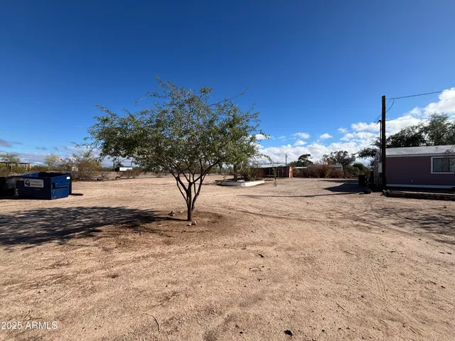 a view of a yard with a tree