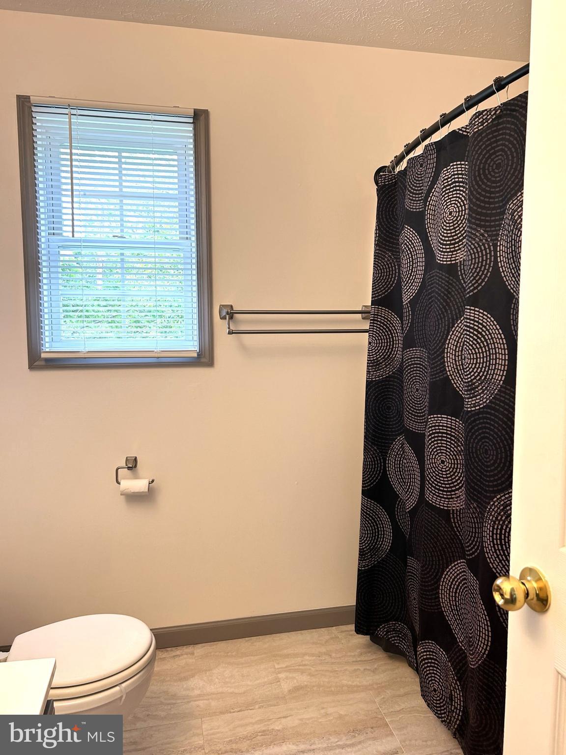 426 Ridgefield Avenue Stephens City, VA 22655 - Photo 19 of 22 view of bathroom with a toilet and a shower curtain