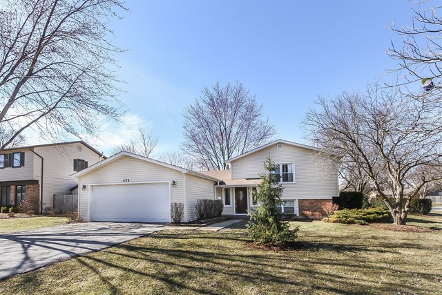 1172 North Old Bridge Road Palatine, IL 60067 - Photo 2 of 27 a view of a house with snow in the background