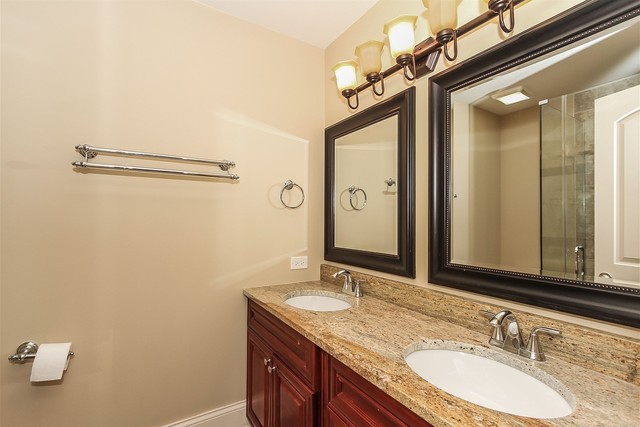 1172 North Old Bridge Road Palatine, IL 60067 - Photo 17 of 27 a bathroom with a granite countertop sink a mirror and a shower