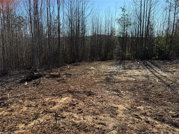 $30,000 | Lot 45 Billings Hill, Traphill, NC 28685
