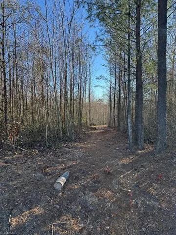 $37,900 | Lot 45 Billings Hill, Traphill, NC 28685