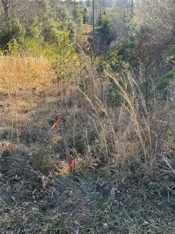 $37,900 | Lot 45 Billings Hill, Traphill, NC 28685