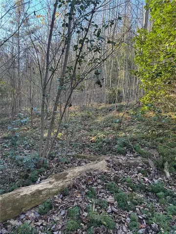 $37,900 | Lot 45 Billings Hill, Traphill, NC 28685