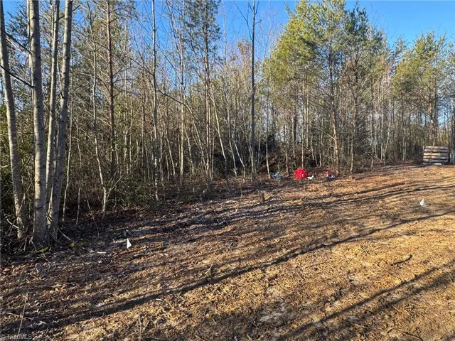 $37,900 | Lot 45 Billings Hill, Traphill, NC 28685